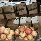 رمان بيده الباحه شي نضيف وسكر جمله وتفريد