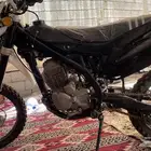 دباب صحراوي