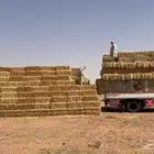 تبن بر صافي
