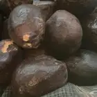للبيع ثمار الدوم