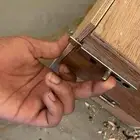 طيور ذكر أنثى