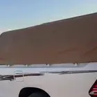 نقل غنم