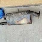 دبة فوكس للبيع البيع