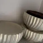 صحون استقبال