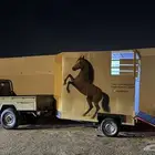 عربه خيل للنقل 24 ساعه