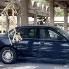 فورد جراند ماركيز 2001 ممشى قليل
