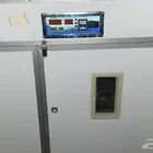 فقاصه للبيع