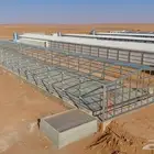 تصوير درون