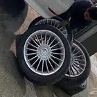 جنوط البينا