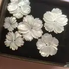 اصداف صدف طبيعي مشغولات ذهب مجوهرات قطع صدف