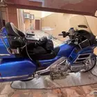 قولد وينق