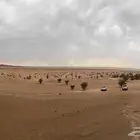 محتاج مكيف صحراوي