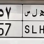 لوحه للبيع ه ل س 57