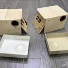 بياضة