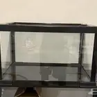 حوض زواحف للبيع