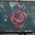 شاشة قيمنق