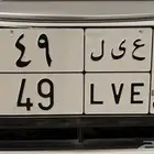 لوحة رقم ع ى ل 49