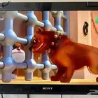 شاشة تليفزيون سوني 32 بوصة