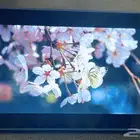جهاز الكسا Echo Show 5 (الجيل الثاني