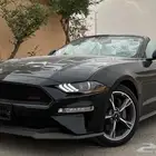 موستنج سعودي اعلى فئة (أخر حبة جديدةاصفار)