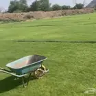نجيل طبيعي