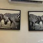 الرياض الخرج