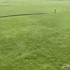 نجيل طبيعي