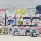 رويال كانين اكل قطط وكلاب