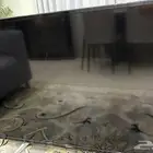 شاشة جينرال 55 بوصه للبيع