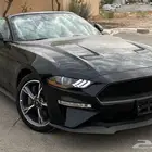 موستنج سعودي اعلى فئة (أخر حبة جديدةاصفار)