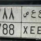 لوحة للبيع (( ع ع ص 788 ))