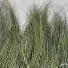 مرخ مندي للمطاعم والمطابخ وللكشتات