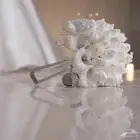 مصورة عرايس(بكج لفتره محدوده)