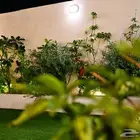 شاليهات فلورا  يلا للإيجار اليومي