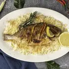 تصوير فوتوغرافي منتجات ومناسبات