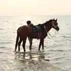 رحلات بحرية