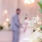 مصوره اعراس ومناسبات وزواجات