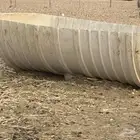 تاننكي علف