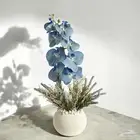 باقات وفازات