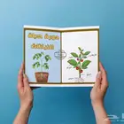 مطوية دورات حياة النباتات - ثالث ابتدائي