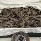 عود موري فاخر