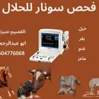 فحص سونار(حمل)للحلال