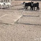 تيوس للبيع