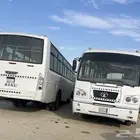 باصات تاتا للبيع مديل 2014