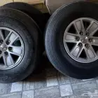 للبيع جنوط كويتيات مع بوالين ماكسس 900