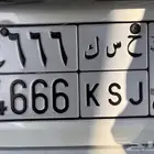 لوحة مميزة للبيع