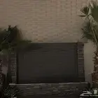 2 نخل واشنطني