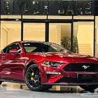 موستنج 2019 (بحاله ممتازه)