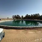 حزنات الديري