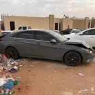 النترا 2021 نص فل
